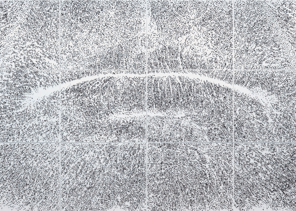 Penone, Spine d’acacia—Contatto, aprile 2006, 2006